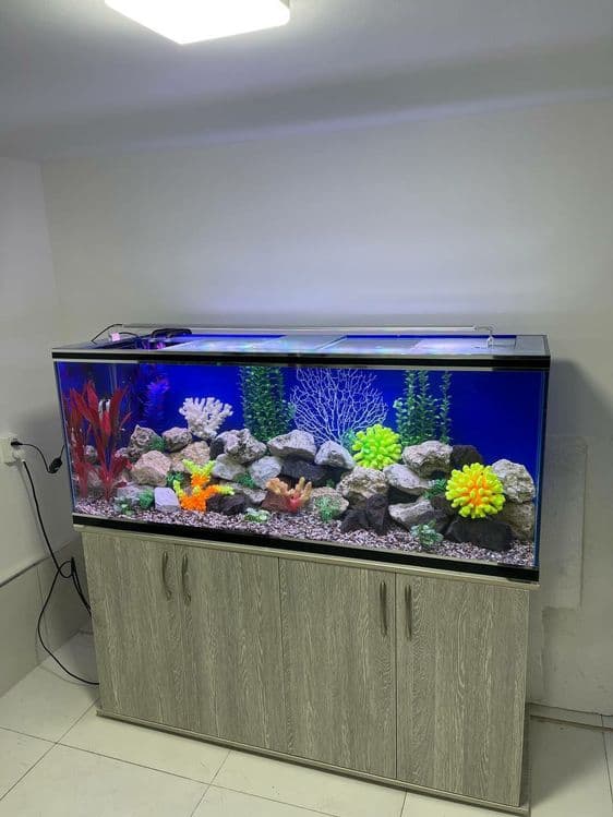 Akvarium baliqlar AquaTerra do'koni Magazin — 4
