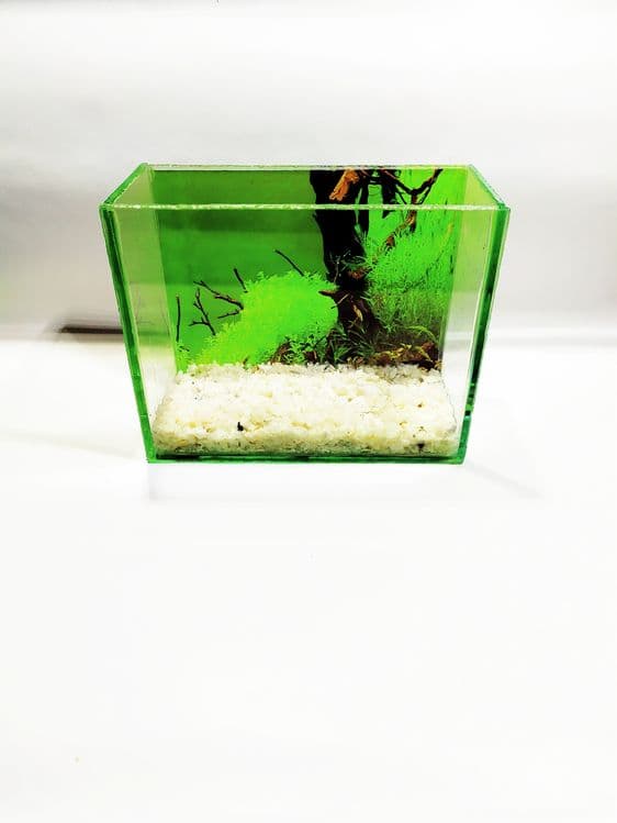 Аквариум мини новый 15 тысяч Akvarium mini 15 min yangi — 2