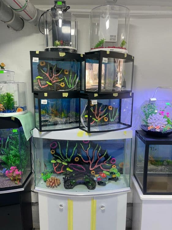 Akvarium Magazin — 5