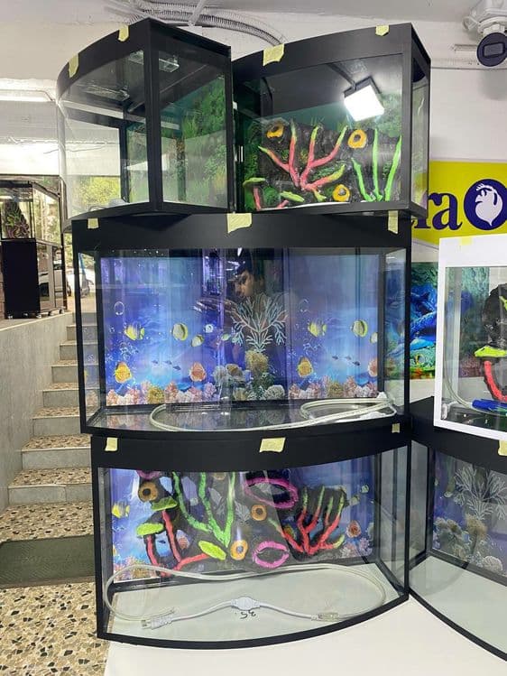 Akvariumlar Yengi Magazin — 2