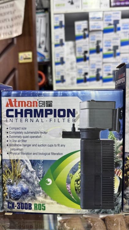 Chempion filtrlari — 4