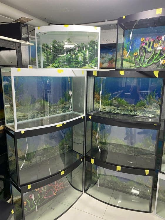 AquaTerra Akvarium Do'koni — 2