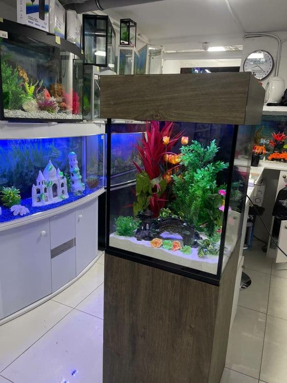 AquaTerra Akvarium Do'koni — 3