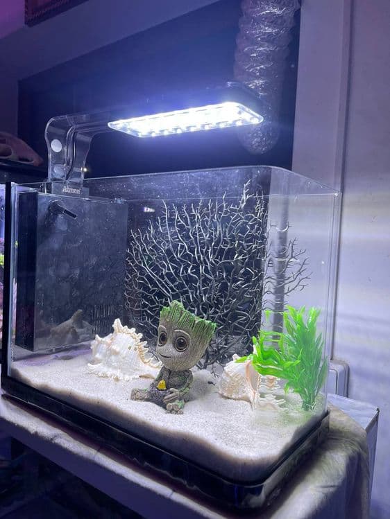 Akvarium Dokoni Sergili va mirobod — 2