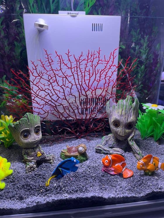 Akvarium Dokoni Sergili va mirobod — 4