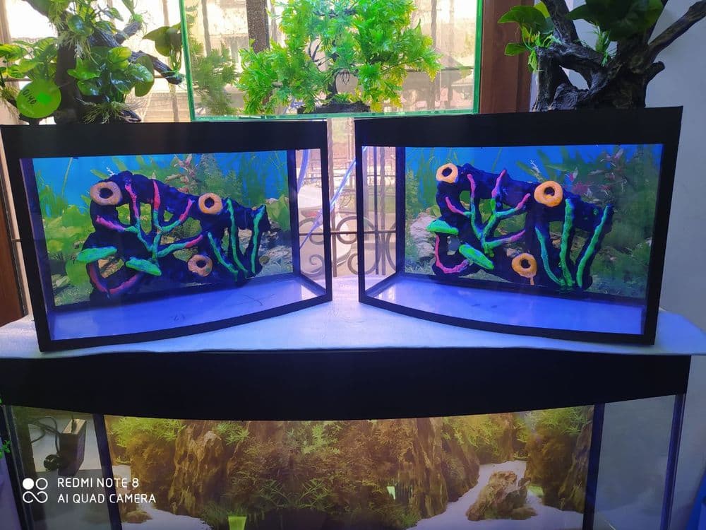 Akvarium Dokoni Sergili va mirobod — 6