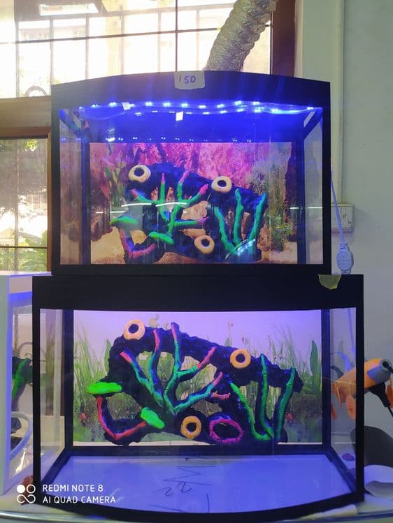 Akvarium Dokoni Sergili va mirobod — 7