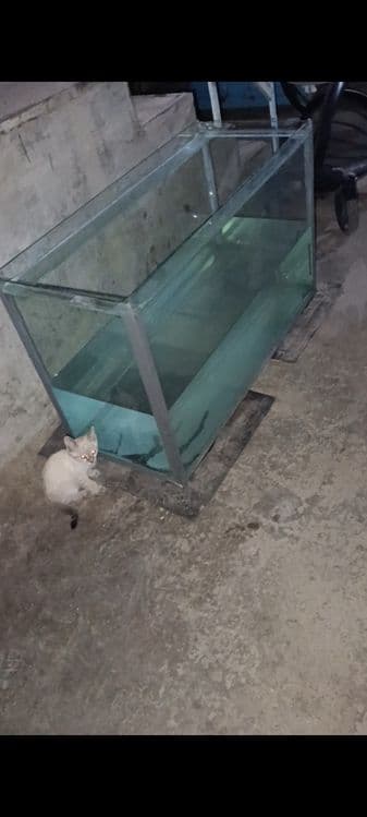 Продам срочно 200 лт Аквариум — 1