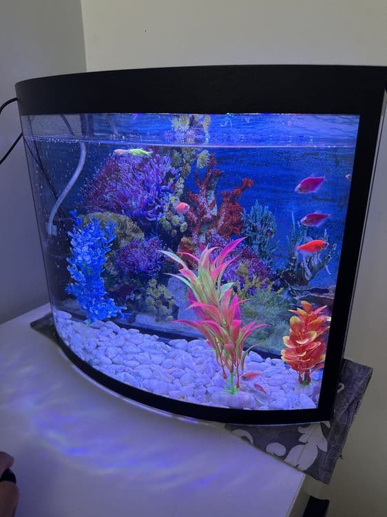 Akvarium 23 litr holati ideal — 1