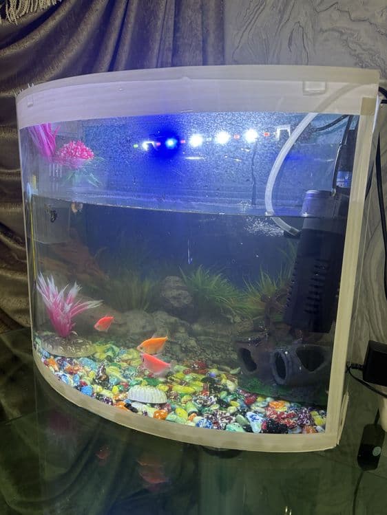 Akvarium sotiladi — 2