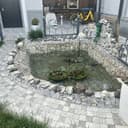 Продам прудовые кои