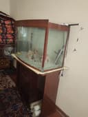 Akvarium, Аквариум  60,120,40