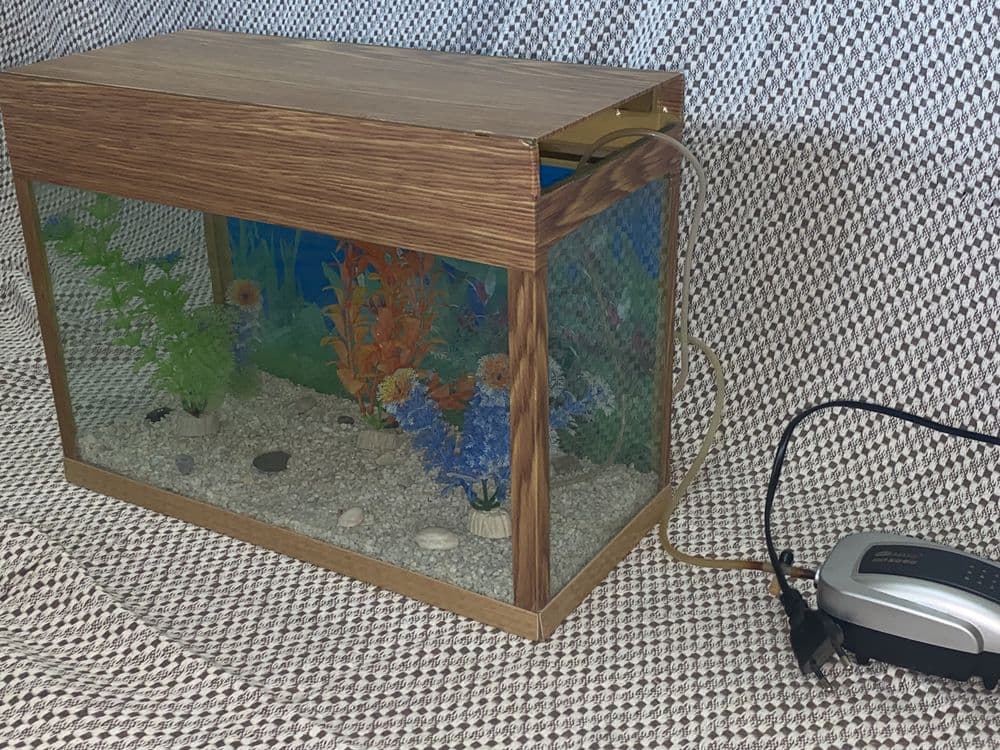 TAYYOR akvarium sotiladi. — 2