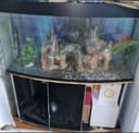 Akvarium 250 litr