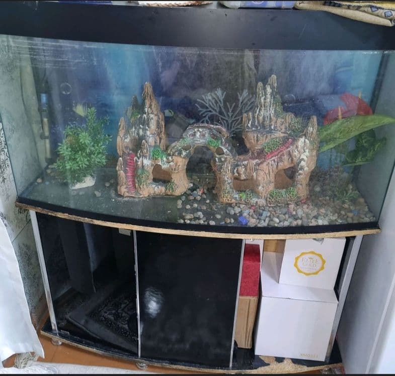 Akvarium 250 litr — 1