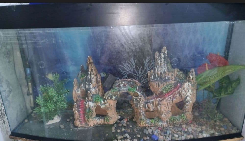 Akvarium 250 litr — 2