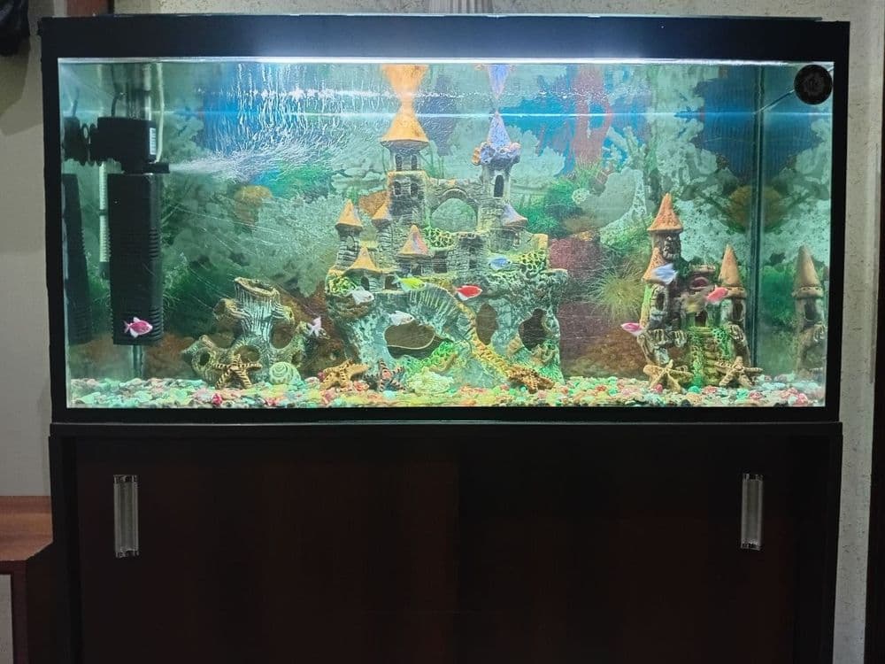 Akvarium sotladi — 2
