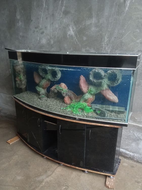 Аквариум продаётся — 2