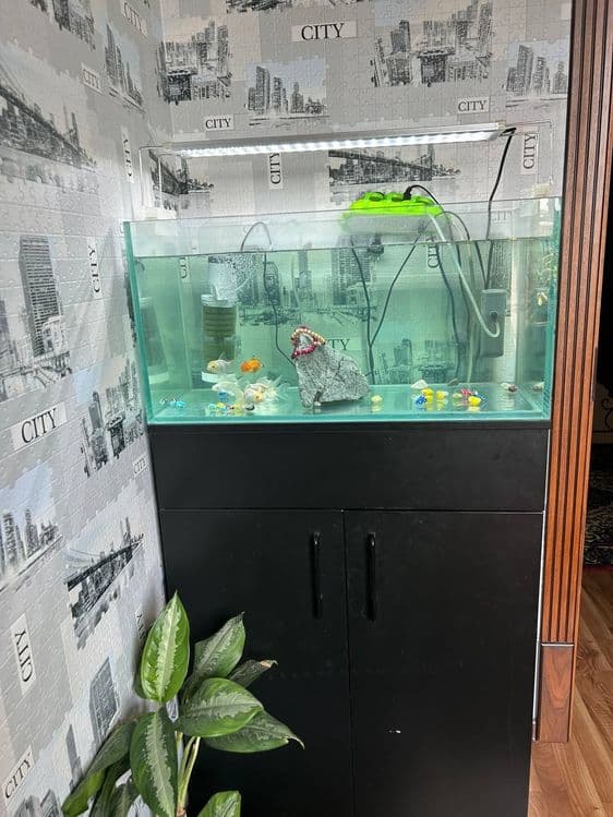 Akvarium sotiladi — 1