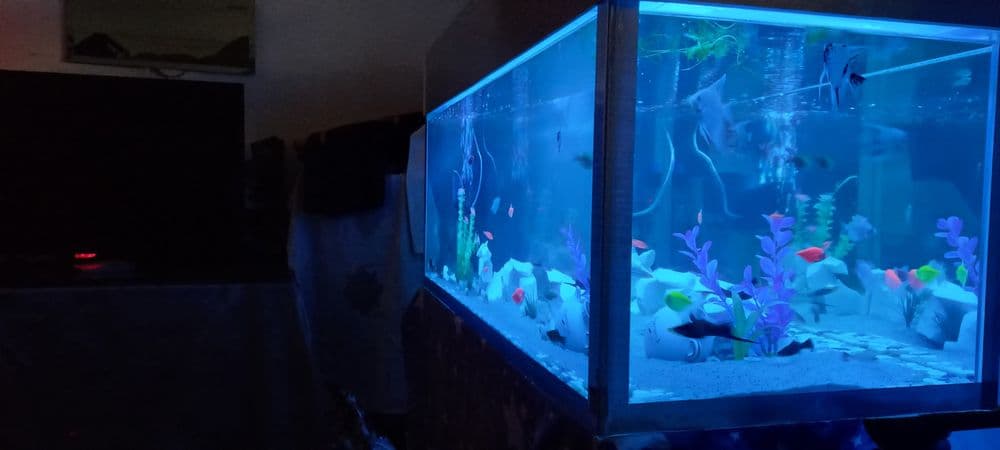 Akvarium na zakaz evro kromka est kachestviniy. Akvarium zakazga evro — 6