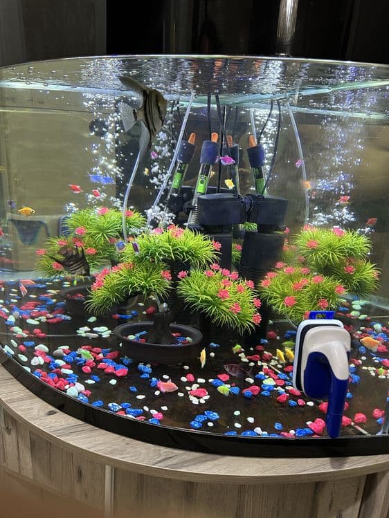 akvarium sotiladi — 10