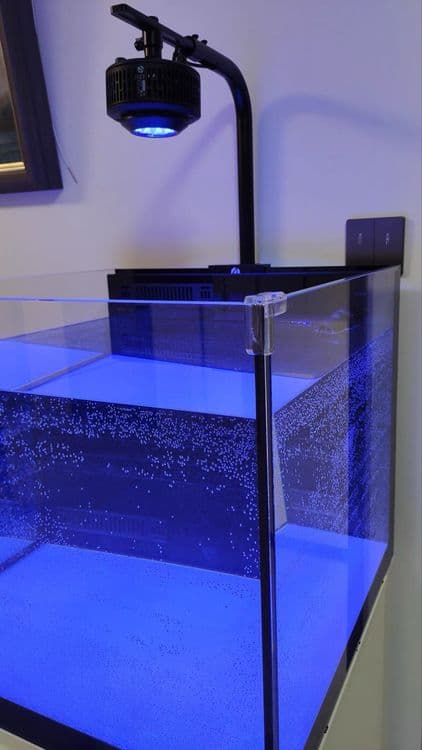 Dengiz akvariumlari — 2