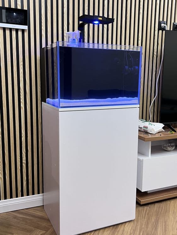 Dengiz akvariumlari — 4