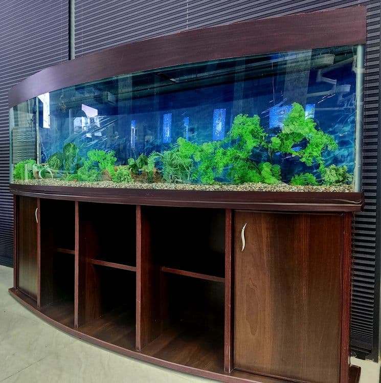 AKVARIUM  1.80 sm 1.30 sm  xolati zur .. — 2