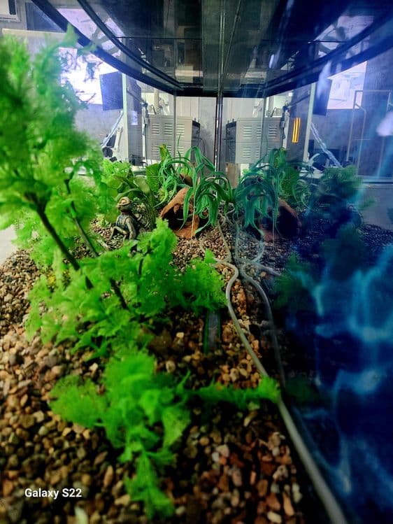 AKVARIUM  1.80 sm 1.30 sm  xolati zur .. — 4