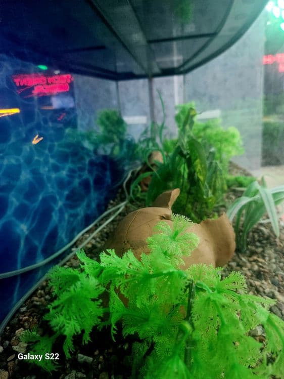 AKVARIUM  1.80 sm 1.30 sm  xolati zur .. — 5