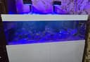 Морской аквариум и аксессуари