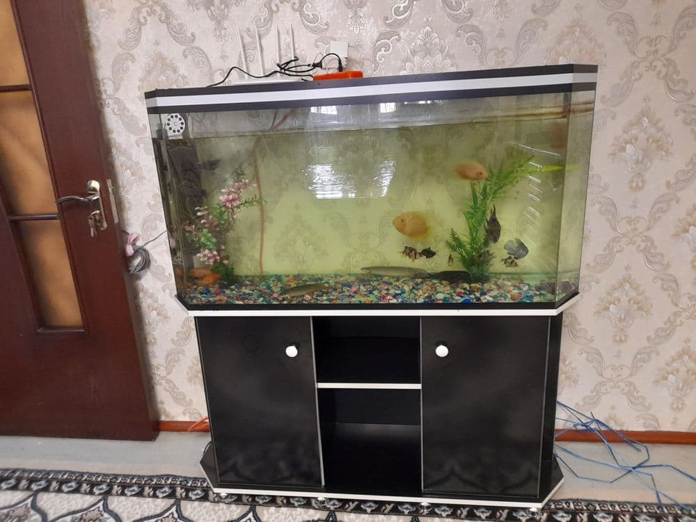 Срочна продается — 2