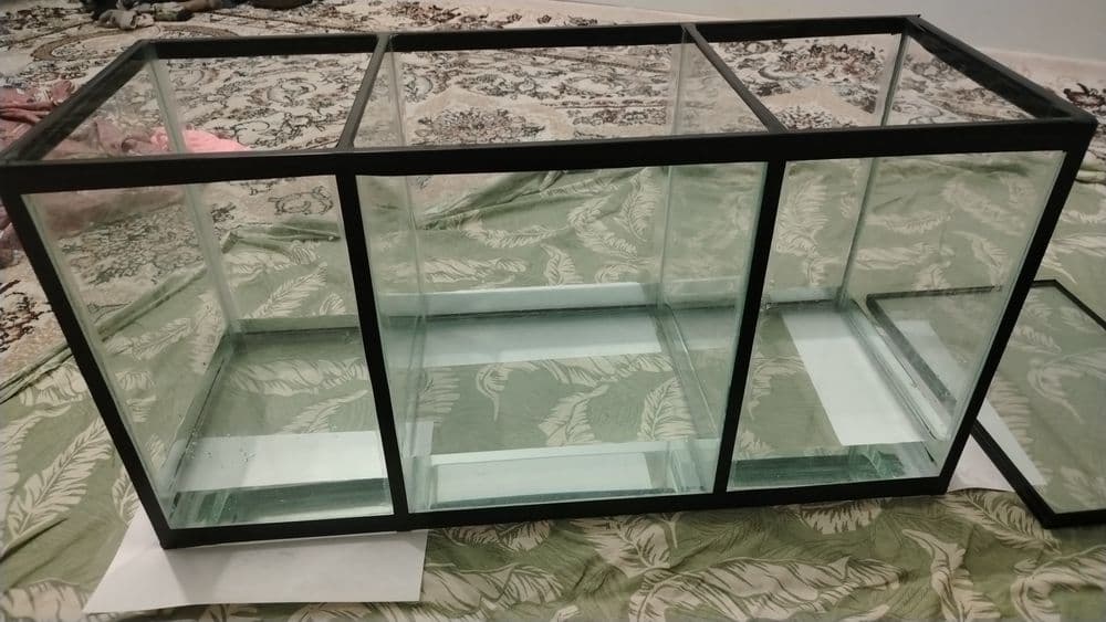 akvarium baliqlari bilan — 2