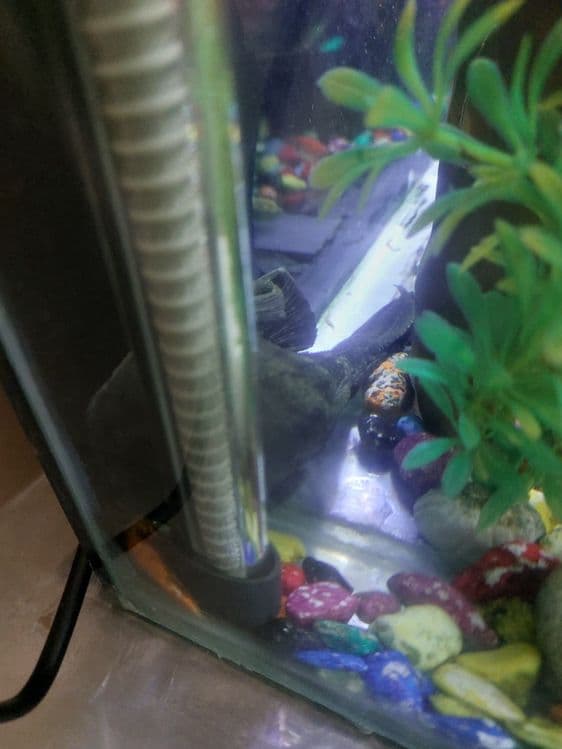 Аквариум комплект — 5