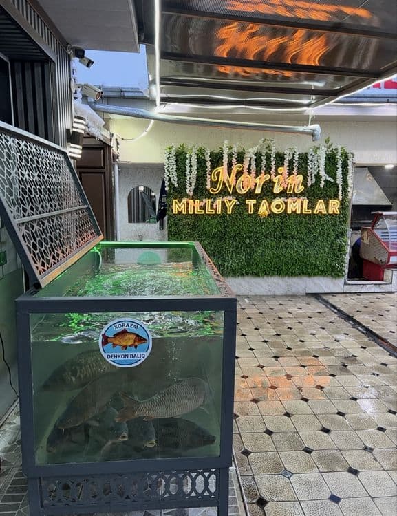 Akvarium kafe restoranlar uchun — 4