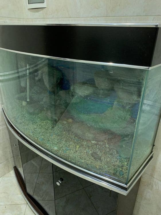 Akvariyum 300litir — 7