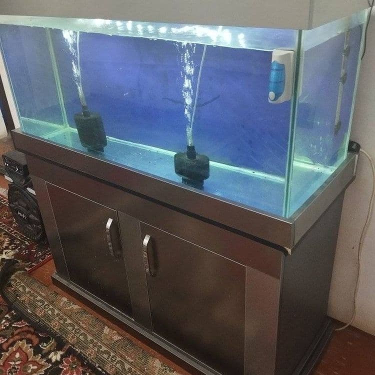 Akvarium i pastavkasi menen birge satiladi 250litrlik akvarium — 2