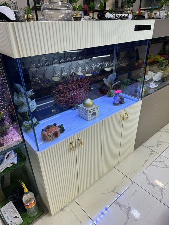 Akvarium Kirashiniy 120 sm — 5