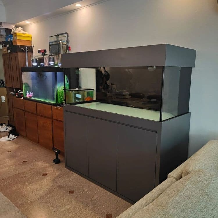 Akvarium zakazga kilib berabiz — 6