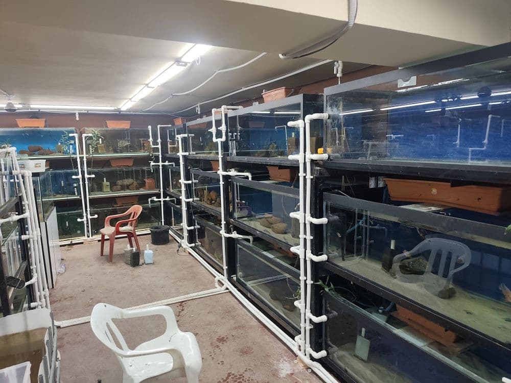 (Baliq razvodnik sotiladi) продается рыбная ферма — 2