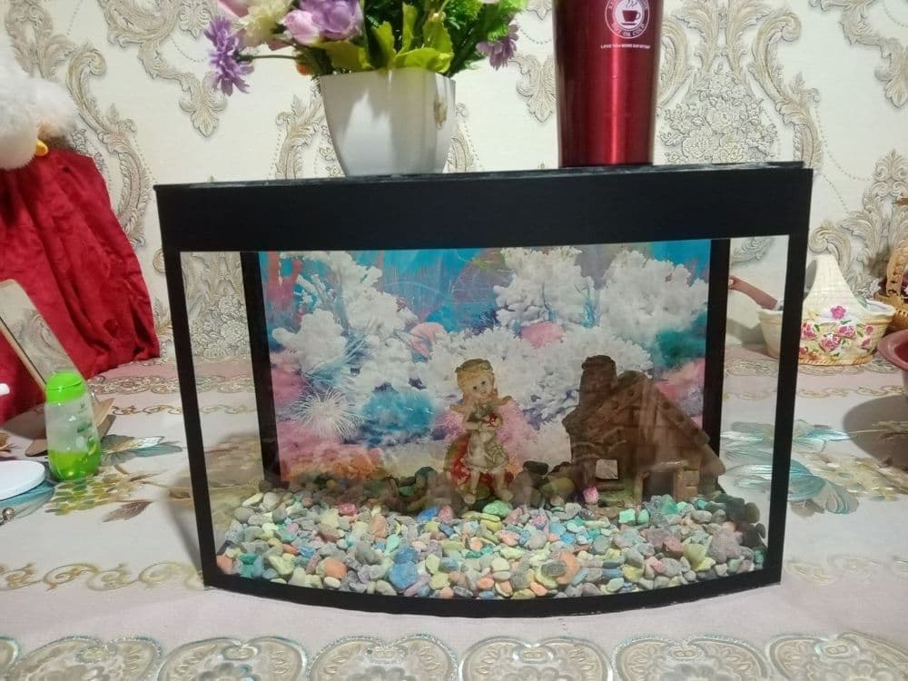 Аквариум baliq idishi — 3