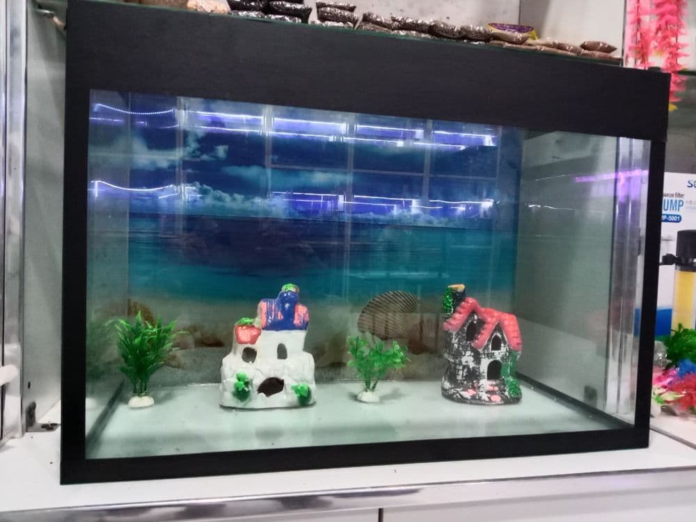 Akvarium uzinligi 65 sm boyi 45 sm eni 32 sm qalin oynadan bogan — 2