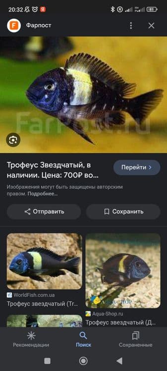 Trafeus dubay masva 1dona padroski 7smli sames (erkak) sotiladi — 2