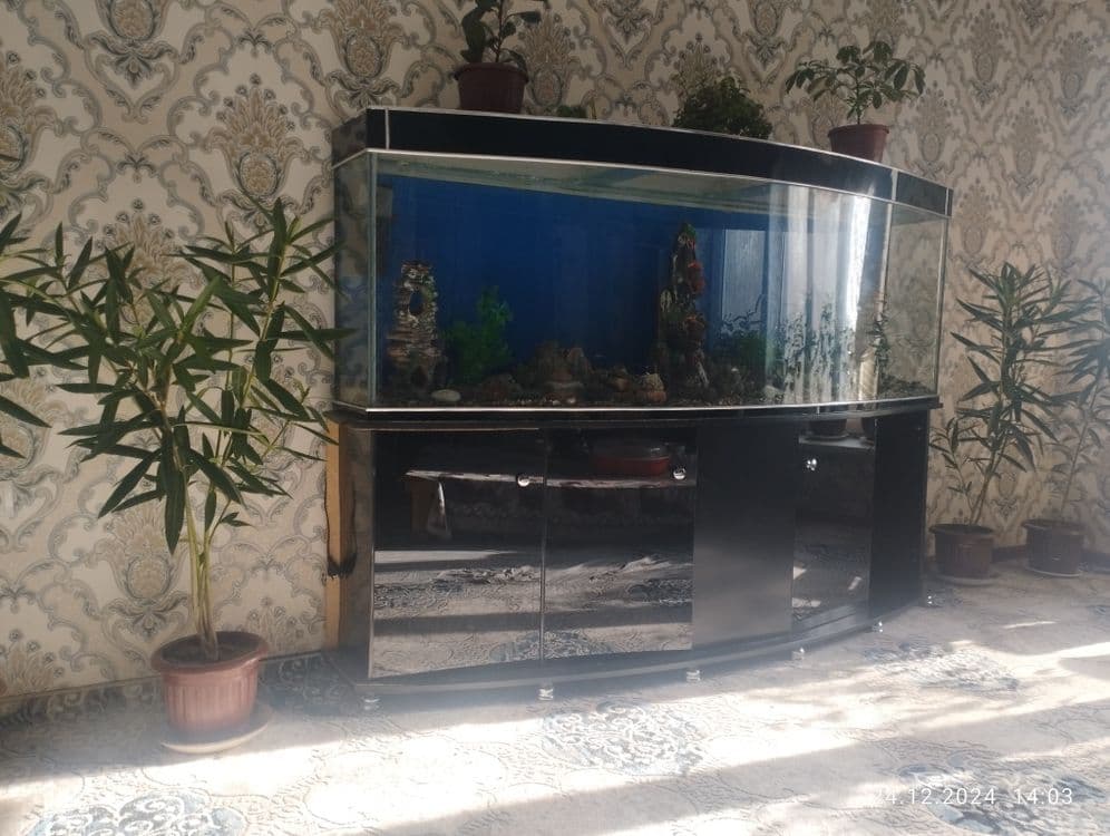 Akuarium satiladi 2 metr . 500 Lt — 5