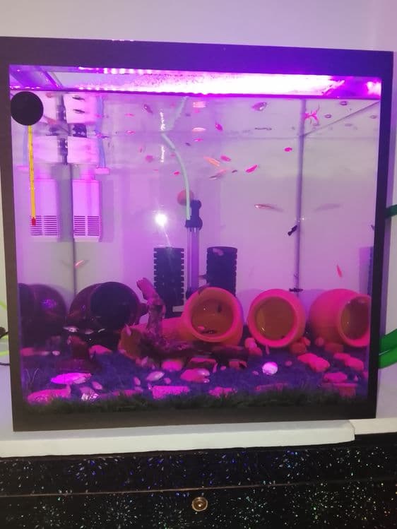Pashti yangi akvarium sotiladi — 4