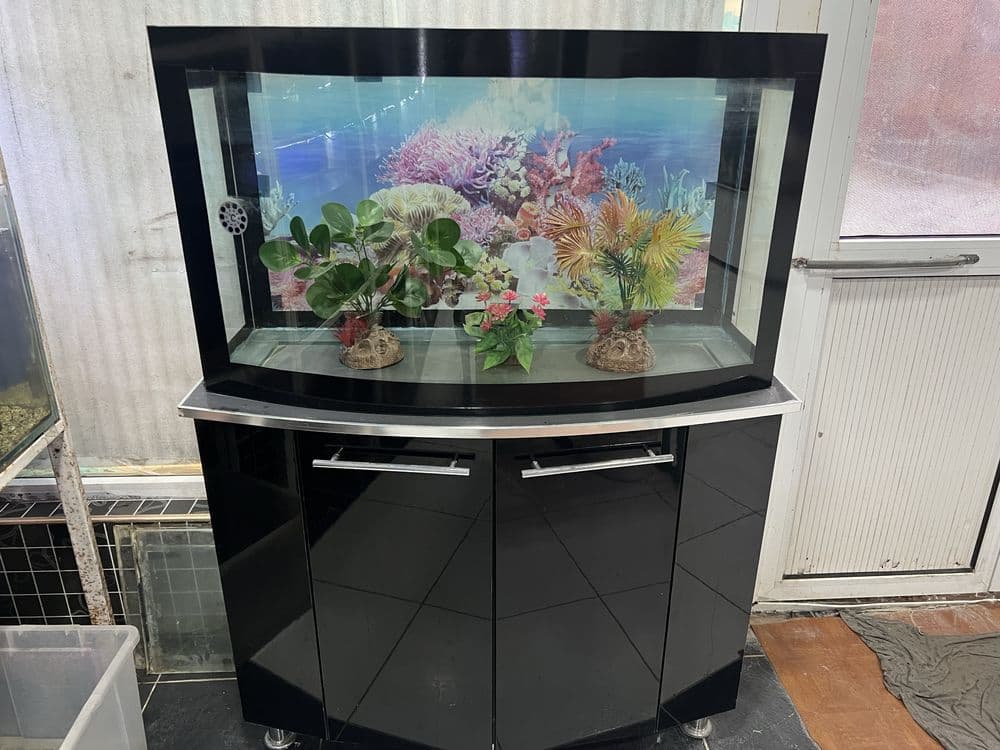 Akvariumlar har hil turdagi — 12