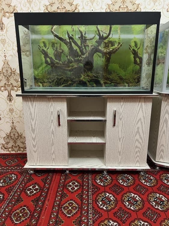 Akvariumlar har hil turdagi — 15
