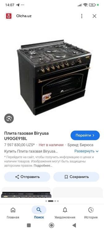 Gaz Plita, duxovka bryusa U90GE91BL — 5