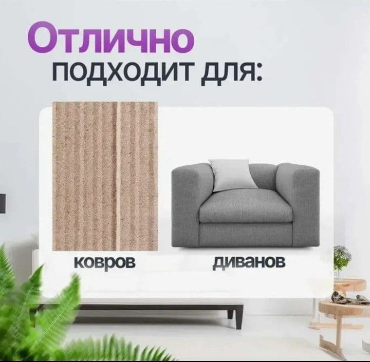 Moyushiy plisos sokaniy firma — 4
