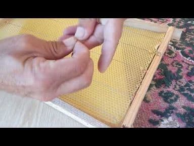 ASALARI RAMKASI — 1
